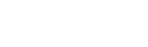 DELUXE LIVING INC